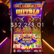 Descubra o Mundo do Cassino Online com 8AA